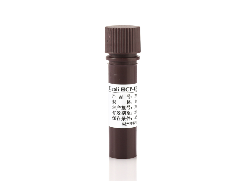 E.coli表達菌HCP多克隆抗體