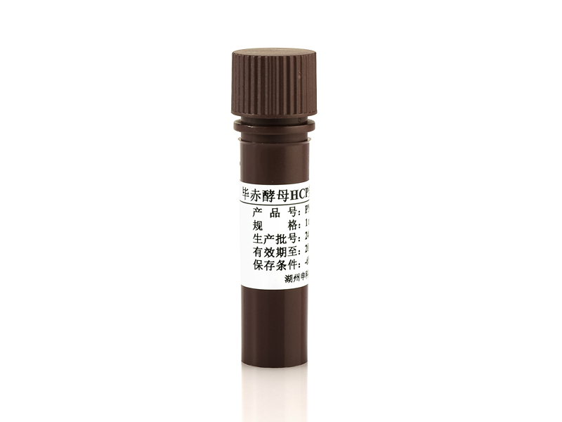 畢赤酵母HCP多克隆抗體